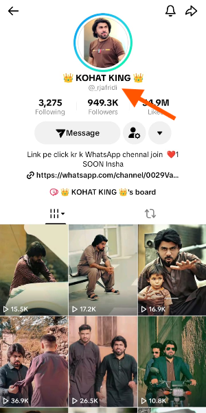 Buscar nombre de usuario de TikTok